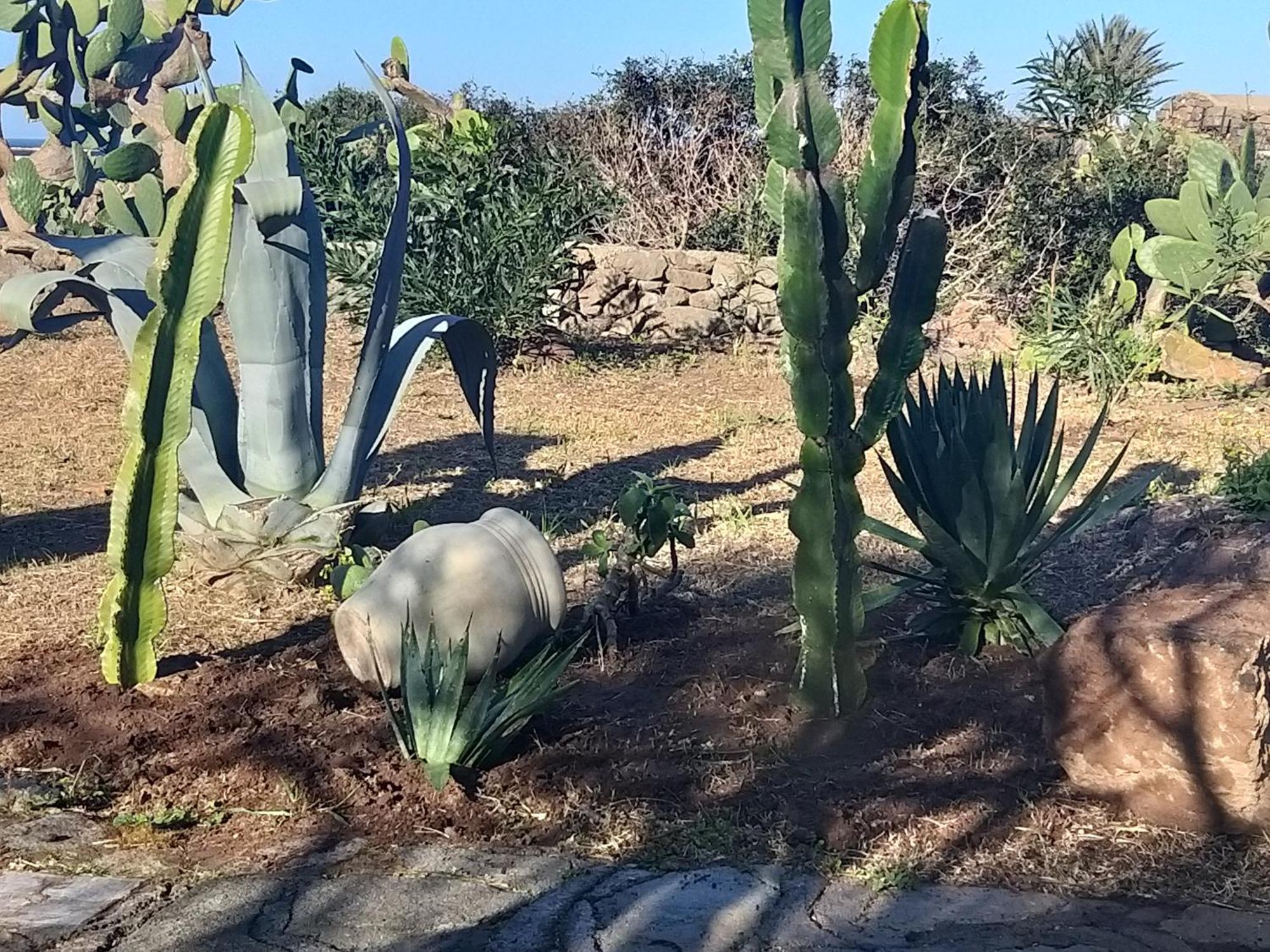 Casetta Il Mandorlo Pantelleria Rum bild